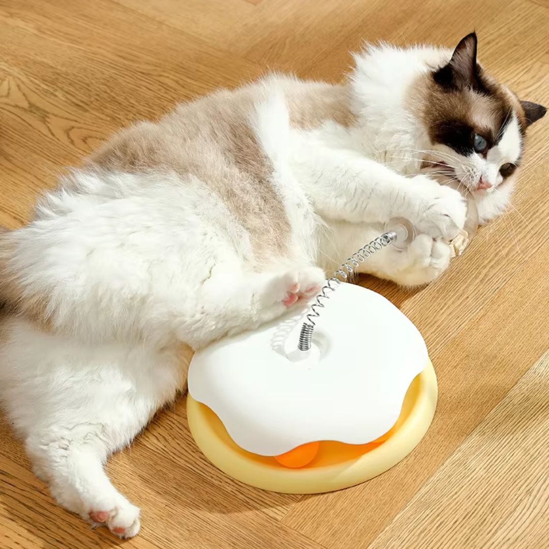Interactive Wobble Treat Toy