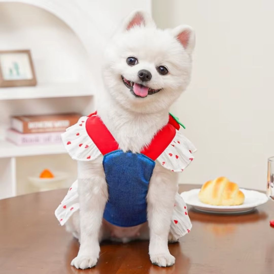 Dress-Style Harness for Dogs and Cats