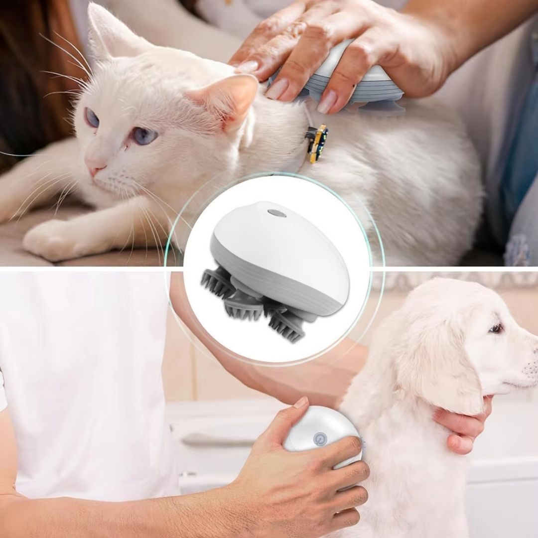 Portable Electric Massager for Anxious Pets
