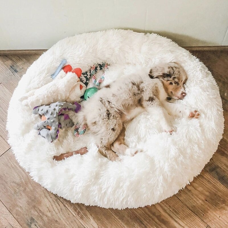Cloud Pet Bed