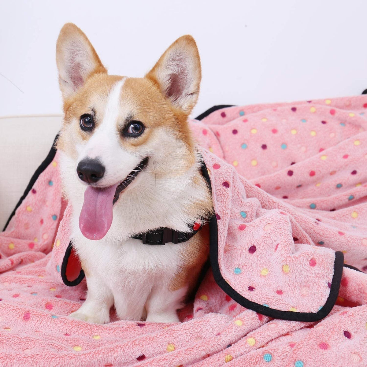 Ultra-Soft Pet Blanket