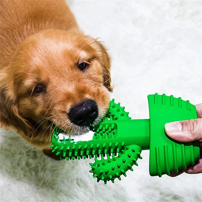 Cactus Dental Chew Toy for Dogs
