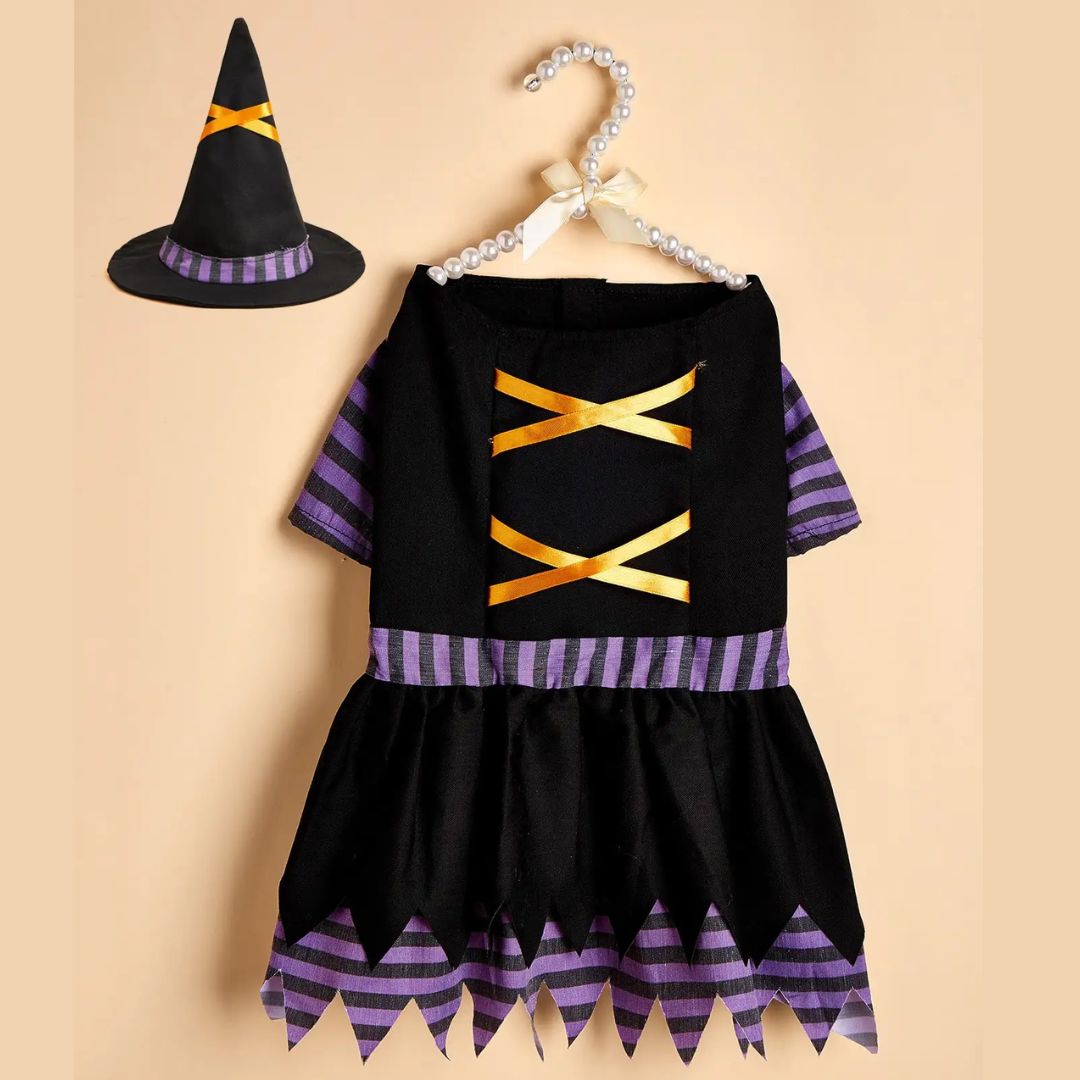 Witch Costume for Dogs and Cats