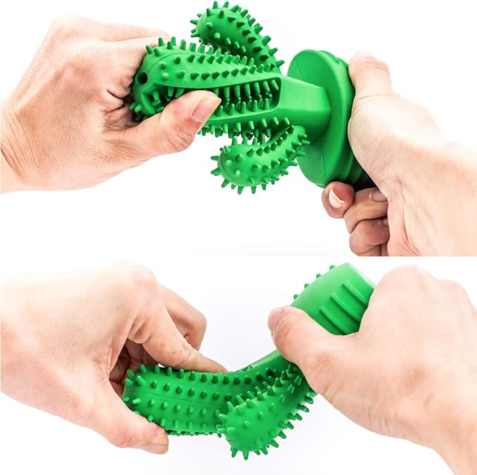 Cactus Dental Chew Toy for Dogs