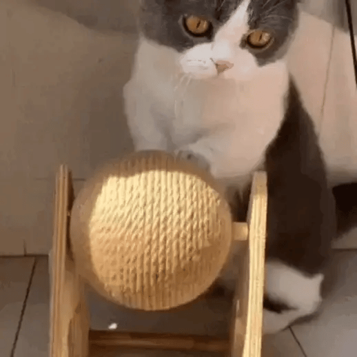 Cat Scratcher Ball