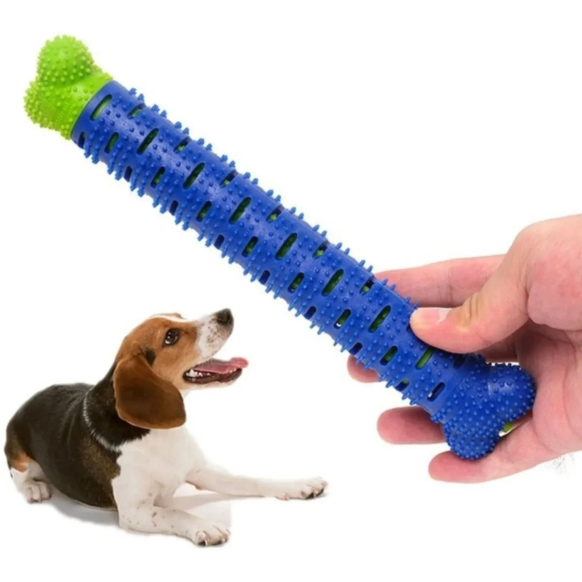 Dog Toothbrush Chew Toy