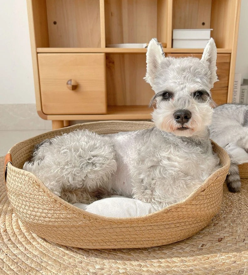 Pet Basket Bed with Cushion