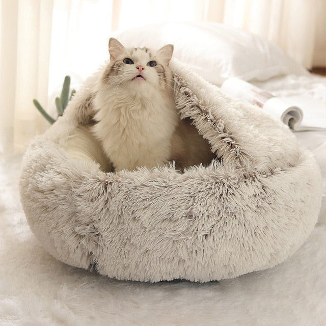 Cloud Pet Cave