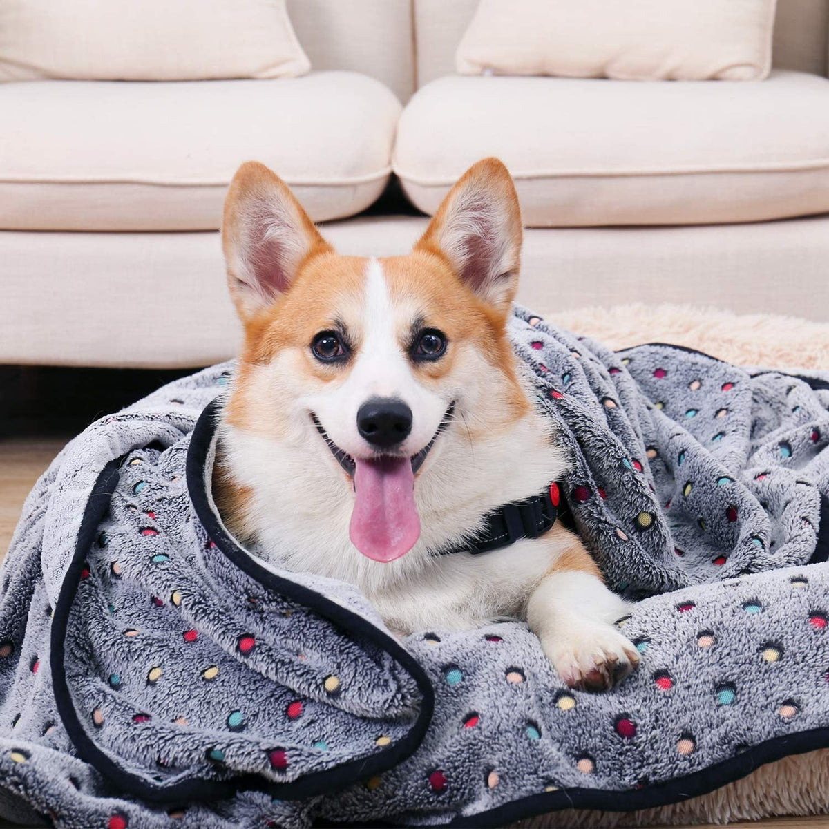 Ultra-Soft Pet Blanket