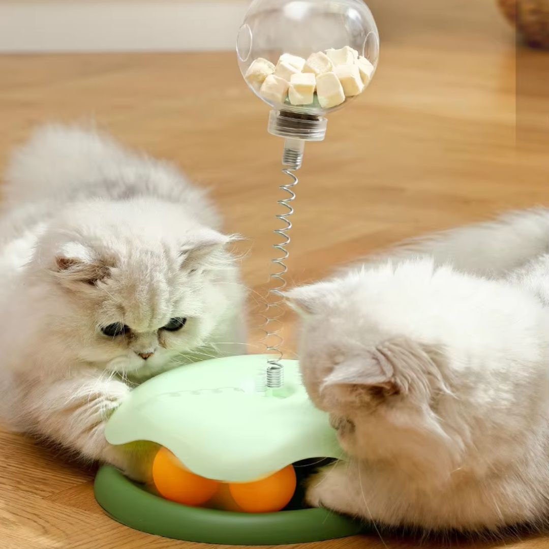 Interactive Wobble Treat Toy