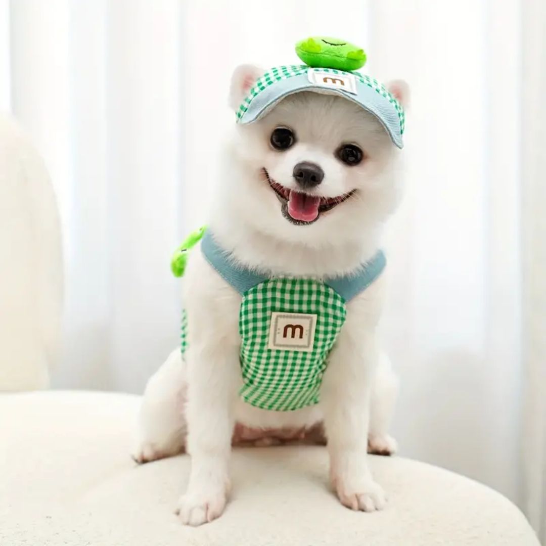 Luxury Pet Cap and Harness Set