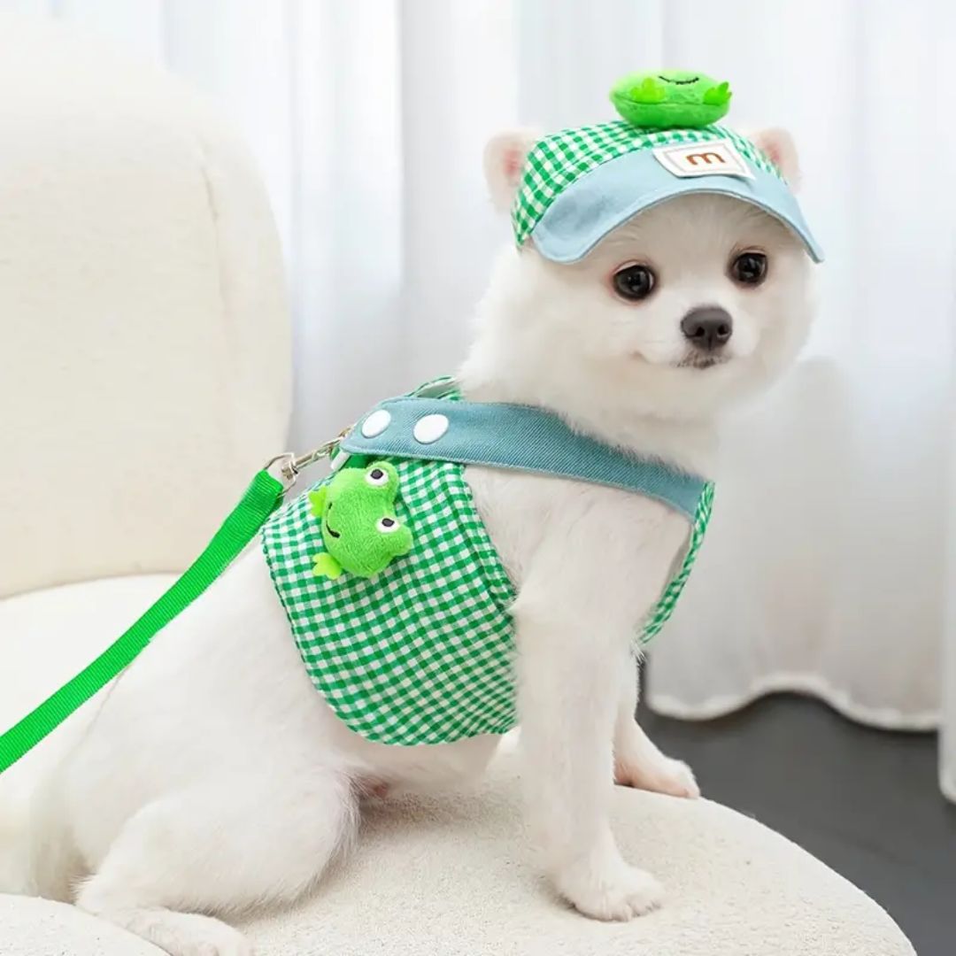 Luxury Pet Cap and Harness Set