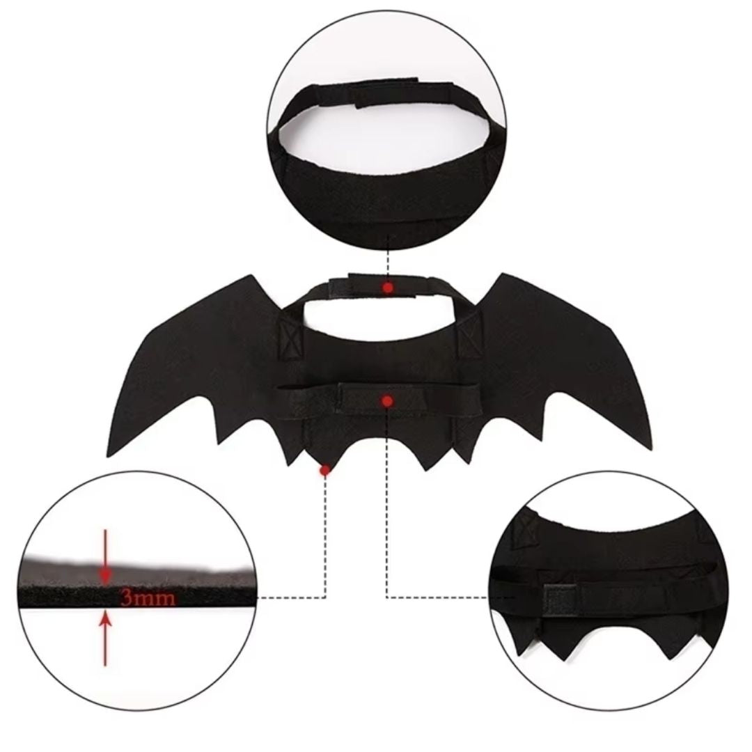 Bat Wings Pet Costume