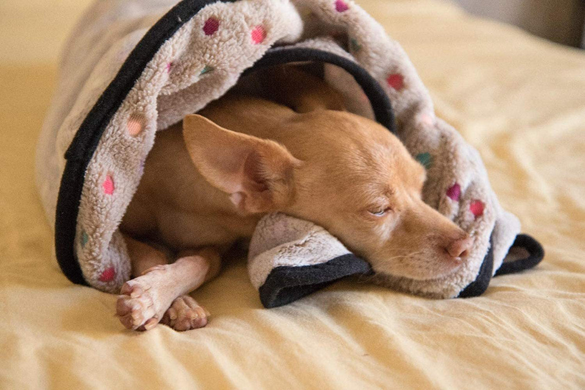 Ultra-Soft Pet Blanket
