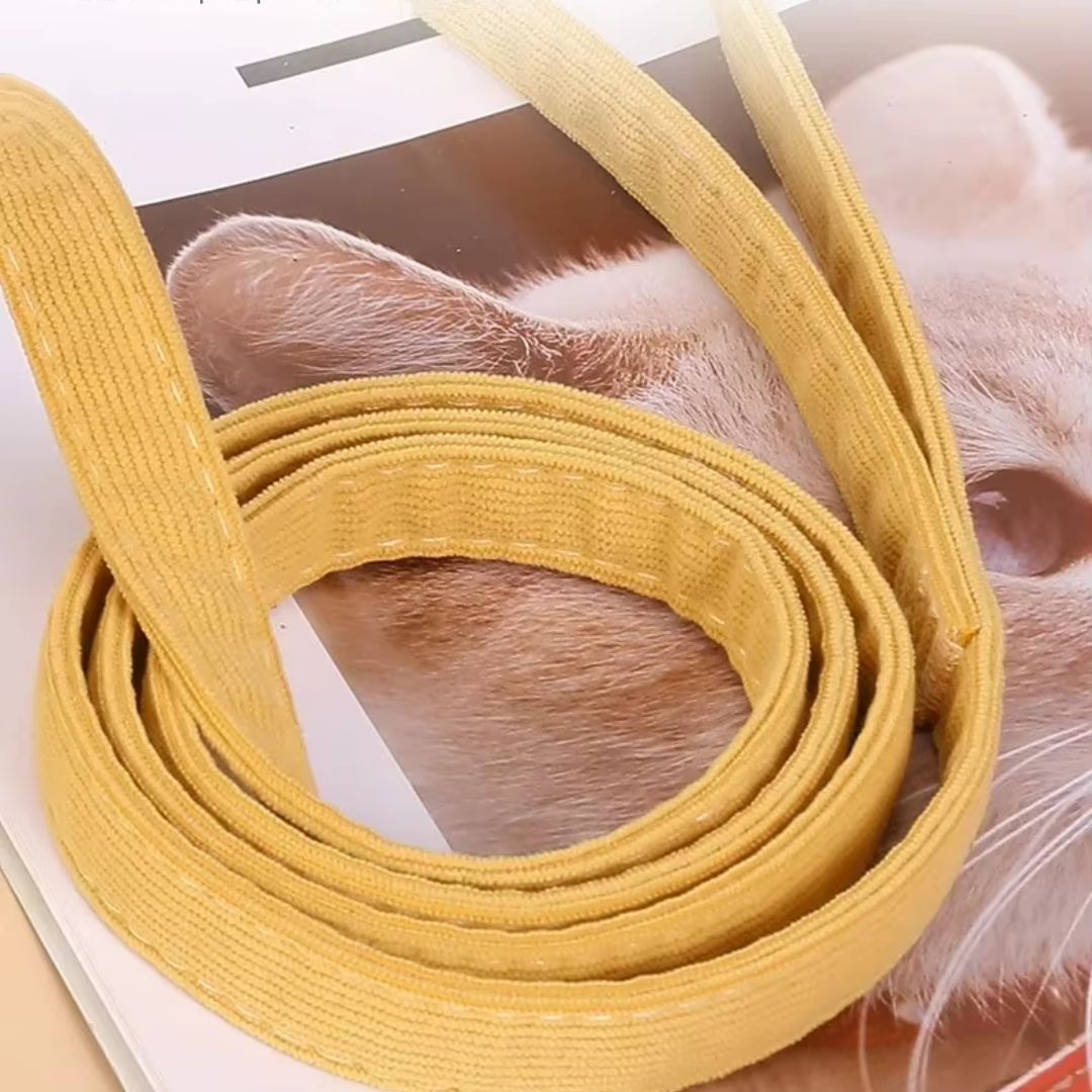 Premium Bee Harness for Pets