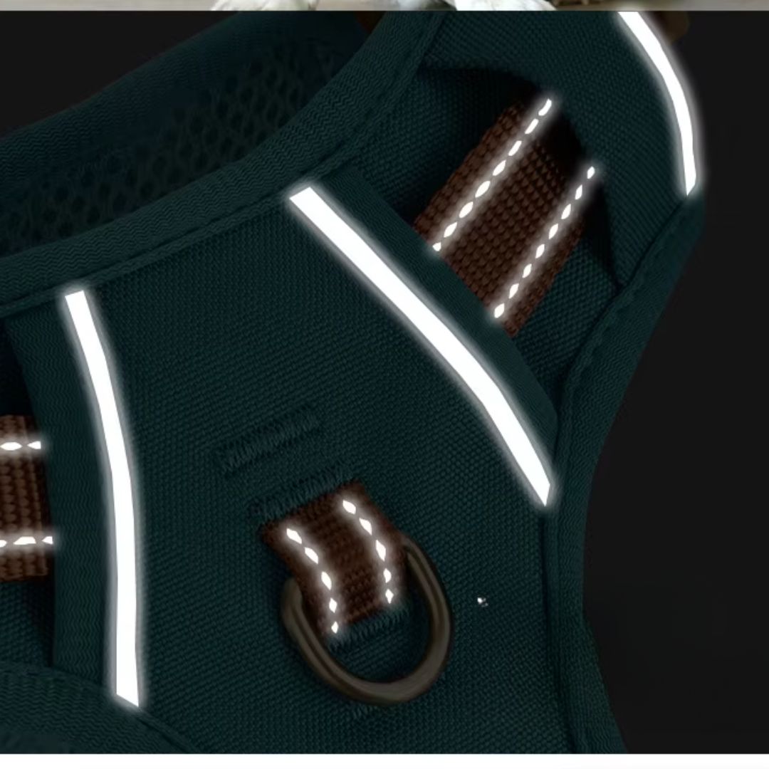 No-Pull Dog Harness