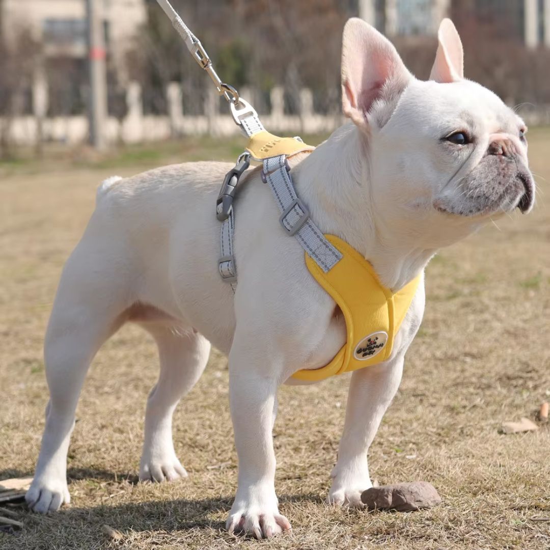 Adjustable Reflective Harness Vest