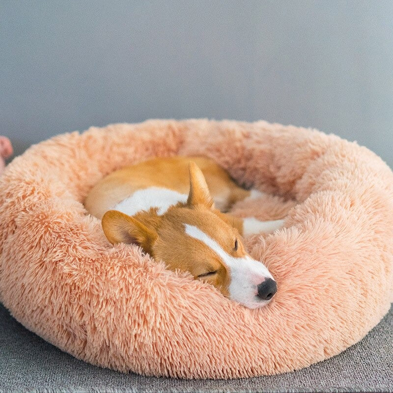 Cloud Pet Bed