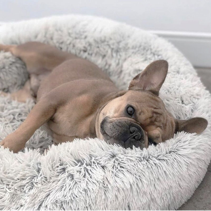 Cloud Pet Bed