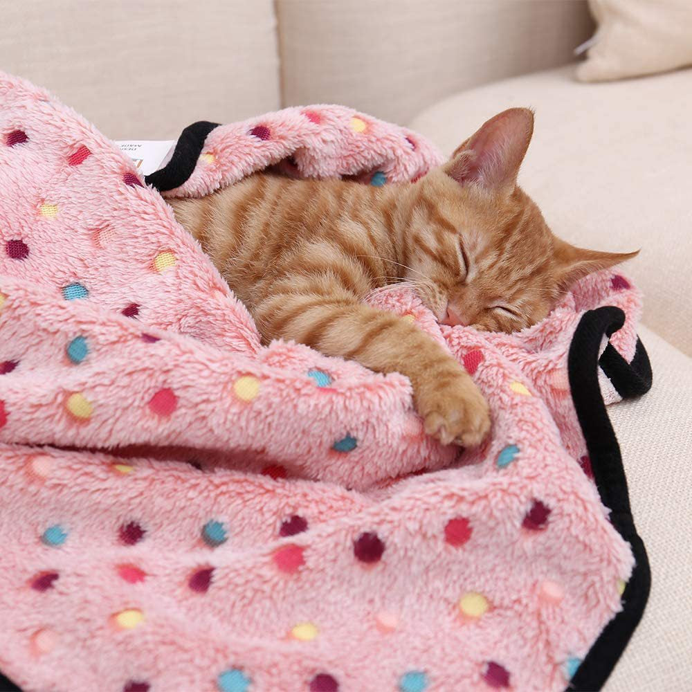 Ultra-Soft Pet Blanket