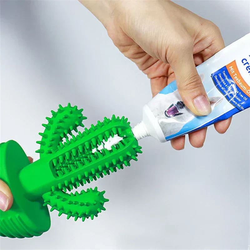 Cactus Dental Chew Toy for Dogs