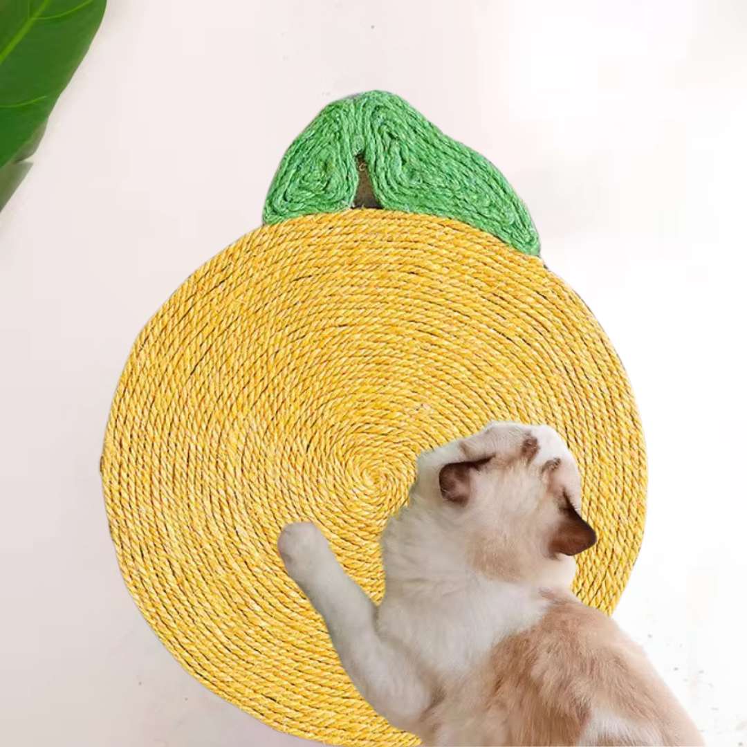 Sisal Cat Scratcher