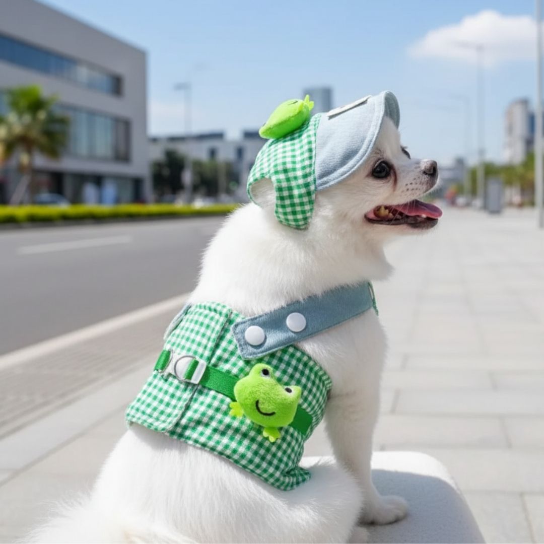 Luxury Pet Cap and Harness Set