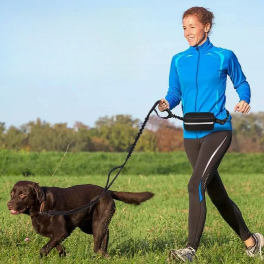 Hands-Free Dog Leash