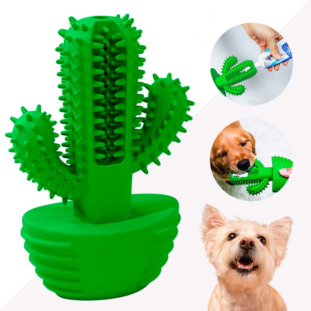 Cactus Dental Chew Toy for Dogs