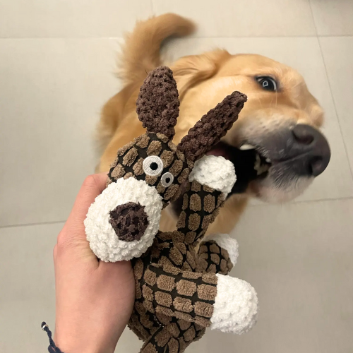 Zigzag Squeaky Toy for Pets