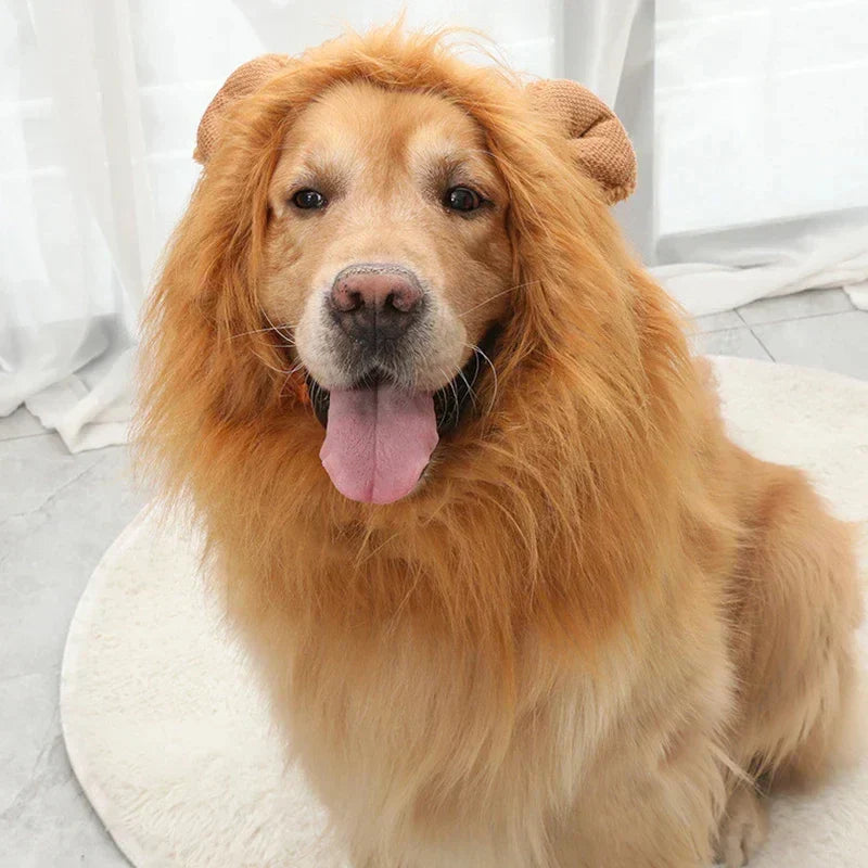 Lion Mane Costume for Dogs and Cats