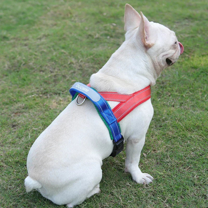 Saddle-Style Dog Harness