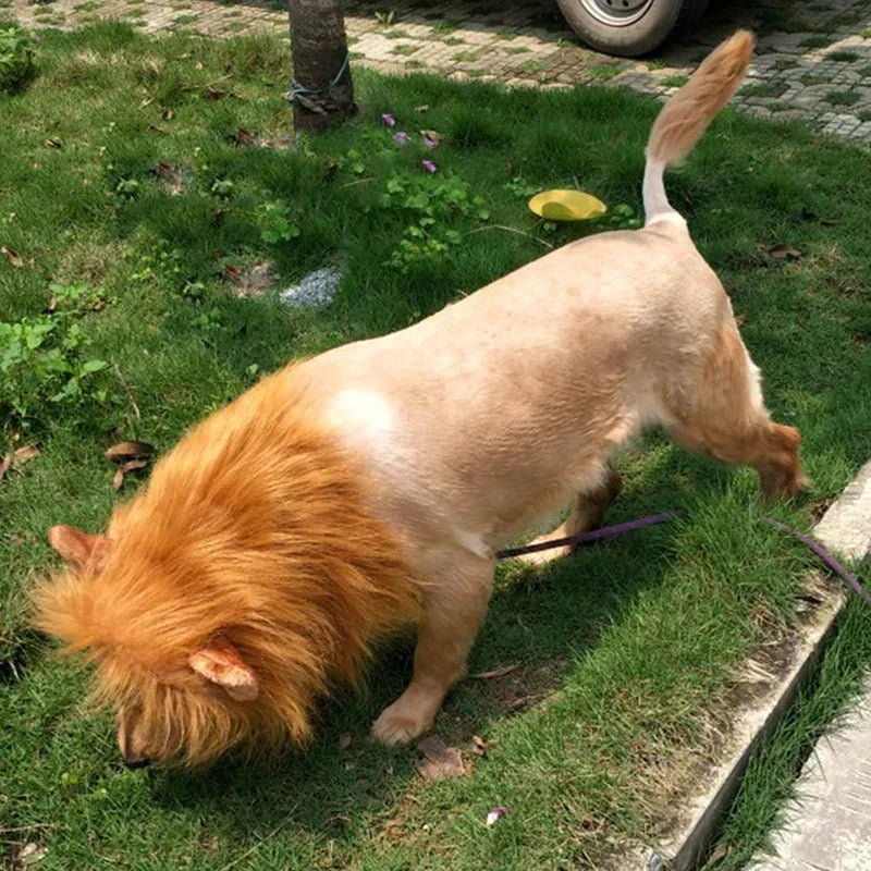 Lion Mane Costume for Dogs and Cats