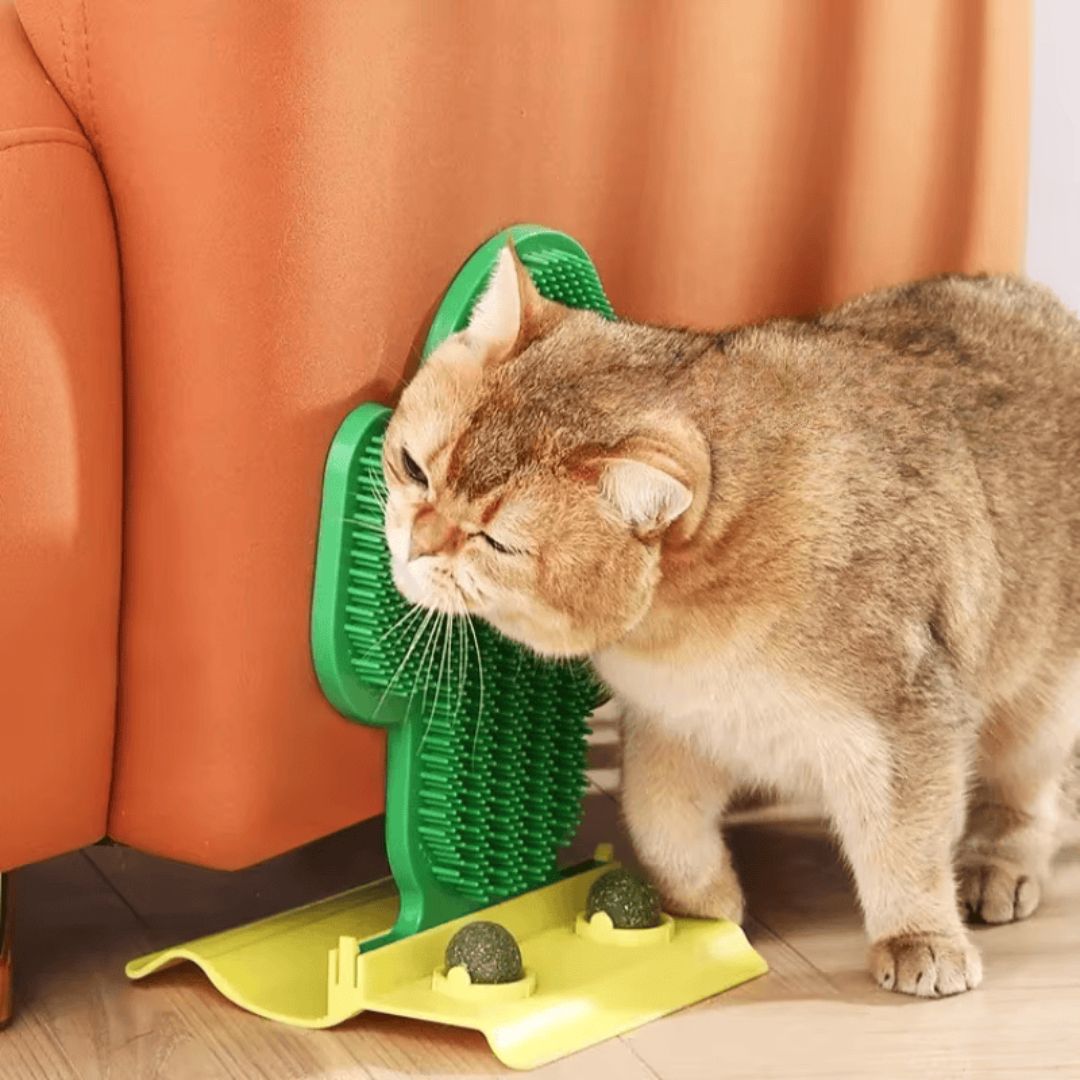 Cactus Corner Cat Massager with Catnip