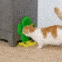 Cactus Corner Cat Massager with Catnip