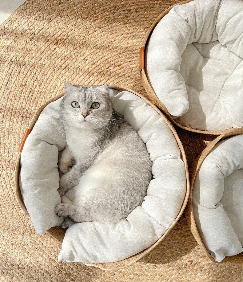 Pet Basket Bed with Cushion