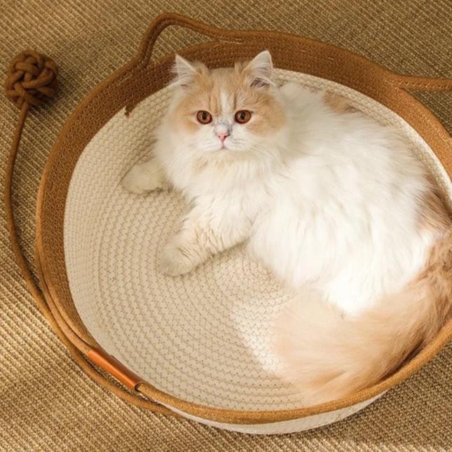 Cat Basket Bed