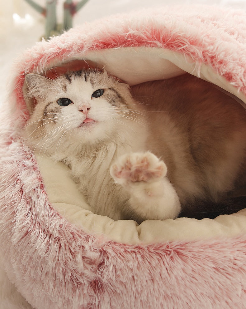 Cloud Pet Cave